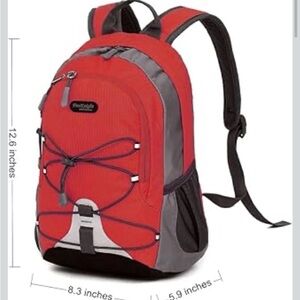 Red and Gray Backpack
